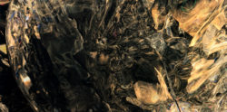 22-Au11-301g0011-100T