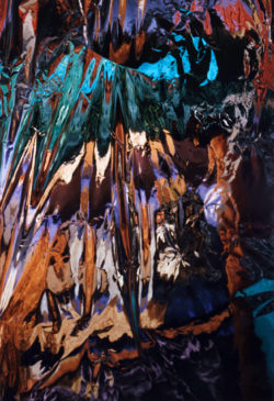 14-TanTribe