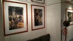 Gallery7