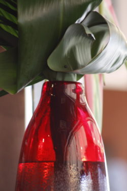BobBottleReflections